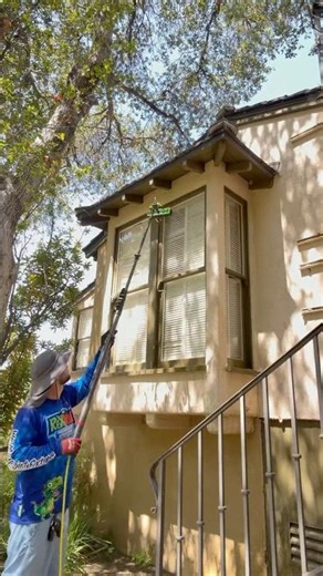 Cleaning Classic Double-Hung Windows With Pure Water – No Ladder Needed!