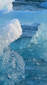 Arctic travel isn’t just a trip—it’s a whole new perspective. Witness the Northern Lights dance across the sky, cruise through ice-covered fjords on a luxury expedition, and feel the thrill of dog sledding across untouched snow. The Arctic is raw, remote, and utterly unforgettable. Let’s get in touch to plan a once-in-a-lifetime journey to the top of the world. | Distinct Travel LLC