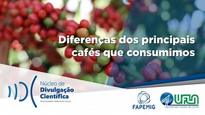 Pesquisador da UFLA fala sobre café Conilon e o Arábica. Saiba mais em: http://bit.ly/2GKuMvz | UFLA - Universidade Federal de Lavras