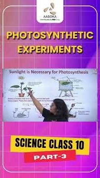 Life Processes: Photosynthetic Experiments | Part-3 | Science Class 10 | NCERT | CBSE 2025 | AASOKA