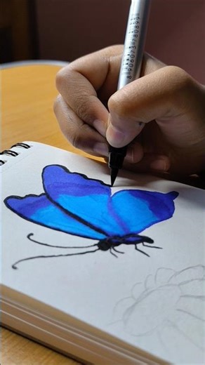 Butterfly drawing ❤️ #art #drawing #titli #brushpen