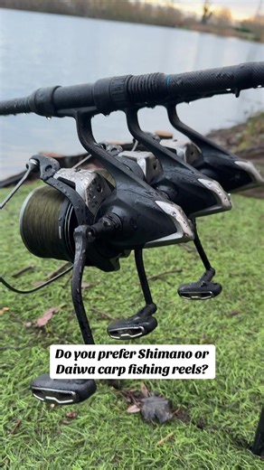 Shimano vs. Daiwa: The Best Carp Fishing Reel