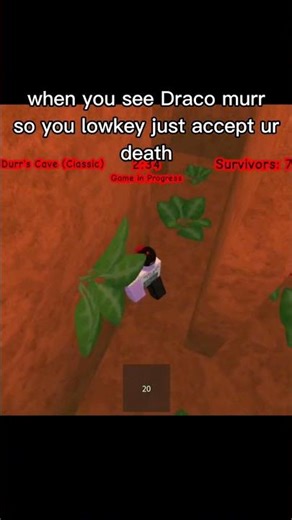 Draco murrs have no chill