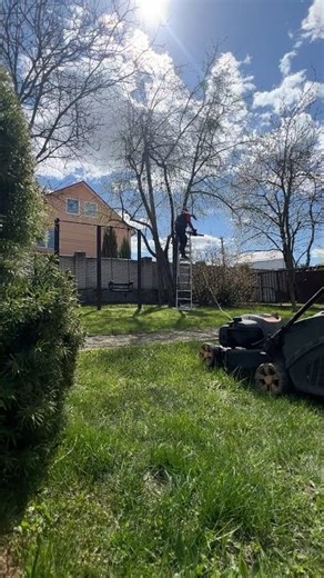 Opening of the gardening season 🫠 , cutting ✂️mistletoe on an apple tree#lawnmower