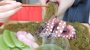 ASMR EATING SOUND. I think this has to be my all time favourite combination! The Octopus is so soft yet so chewy but not tough! Does that makes sense? lol Link in bio👆🏻. . . . . #asmr #asmrsounds #asmrfood #asmroctopus #octopus #tako #seagrapes #asmrseagrapes #ginger #gingerpickle #japan #ilovejapan #sogood #youtube #doyoulikeseafood #asmrcommunity #mukbang #asmrmukbang | SAS-ASMR