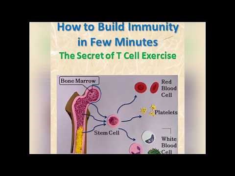 How to Build Up Immunity in Few Minutes: The Secret of T Cell Exercise