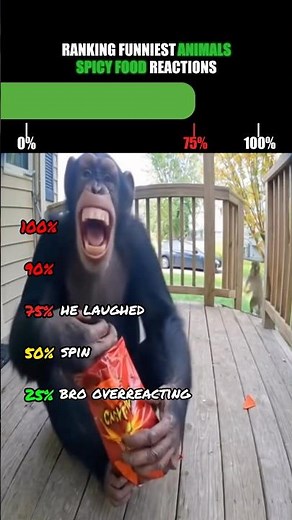 Ranking Funniest Animals Spicy Food Reactions🤣 (part 4)