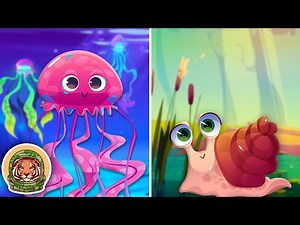 Learn About Animals That Don't Have Backbones! | Animals Songs For Kids | KLT WILD - Videos For Kids