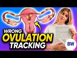 How Ovulation Really Works: Ovulation Day Confusion? + Safe Ways to Track | Balanced Woman UK