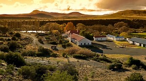 A is for Aardvark - Searching for Africa's Most Elusive Animal