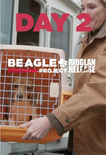 Beagle Freedom Project: 150 Beagles Rescued from Ridglan Farms