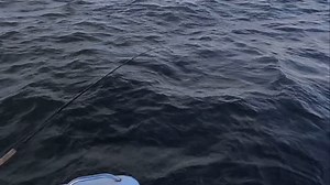 Proguide66, Steve Isdahl on Reels