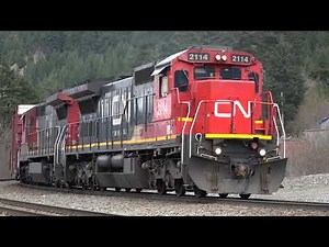 Trains in the Fraser River Canyon: CN, CP, Rocky Mountaineer 4K