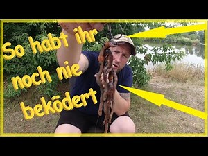 Wallerangeln vom Ufer ohne Boot ganz einfach erfolgreich so kann jeder fangen (Super leichte Montage