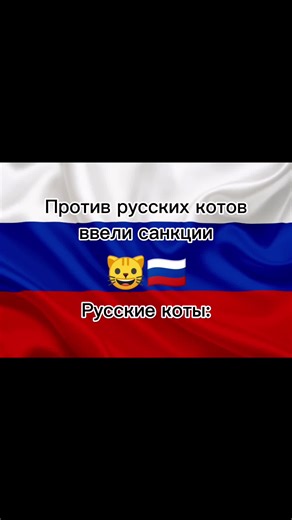 Russian cats after being banned from international competition #россия🇷🇺 #україна🇺🇦 #россиясила #лнр #днр #ukraine #russia
