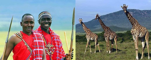 Top 12 Trip Reasons For A Vacation Visit To Africa - AfricanMecca Safaris