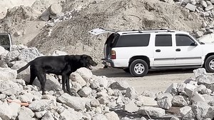 Clark County, Nevada on Reels