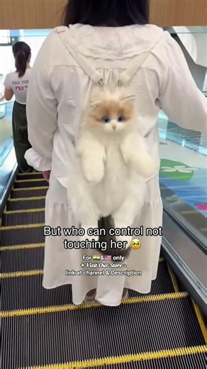 For 🇮🇳&🇺🇲 only𖥔 𝑽𝒊𝒔𝒊𝒕 𝑶𝒖𝒓 𝑺𝒕𝒐𝒓𝒆 ↴link at channel & Description