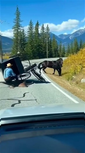 Life without engines 🐎