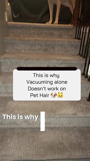I vacuum these stairs regularly and still couldn’t believe how much dog hair was hiding in the carpet. This is exactly why vacuuming alone isn’t enough, especially on stairs and high-traffic areas. The Uproot Pet Hair Remover actually pulls the hair out instead of just pushing it around. If you live with shedding dogs, this is one of those tools that just makes life easier. Tap the orange shopping cart to check it out. #petownerproblems #doghair #cleaningtok #tiktokshopfinds #petcleaning