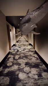 1.5M views · 25K reactions | By @vernbestintheworld . Curated by @damien_visual . A community hosted by @mhsprod . Use #mdcommunity or support us on Patreon to get a feature . #3d #3dart #art #artwork #hotel #shark #3drender #tracking #realornot #sharkattack #3dvideo | Motion Designers Community | Facebook
