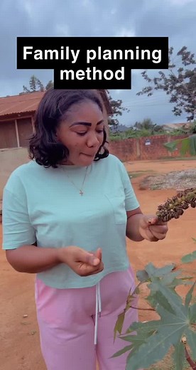 Exploring Family Planning Methods with Natural Plants