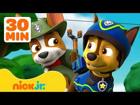 Paw Patrol | Aventuras y Rescates de Amistad con Chase y Tracker | 30 Minutos | Nick Jr. en Español