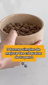 46K views · 1K reactions | ¡Mejora la comida de tu perro en 3 simples pasos! 北 Añade agua caliente, puré de calabaza o yogur griego, y espinacas para una dieta más nutritiva y digestiva.  #perros #dogs #doglover #mascotas #amorperruno #PerrosFelices #RecetasParaPerros #SaludCanina #CuidadoDeMascotas #PerrosFelices | Clips sorprendentes | Facebook