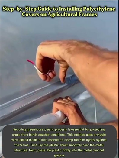 Essential Facts and Uses for Wiggle Wire Locking Mechanisms