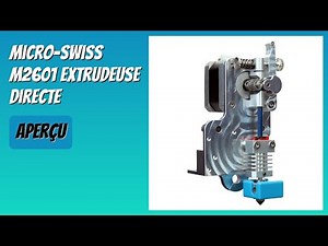 AVIS (2025) : Micro-Swiss M2601 Extrudeuse Directe. DÉTAILS