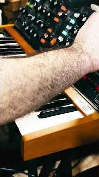 Analog Evolve: Behringer Poly D Sequence 🎛️ #Shorts #musicproduction #sounddesign