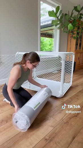 Diggs Evolution Modern Dog Crate Review