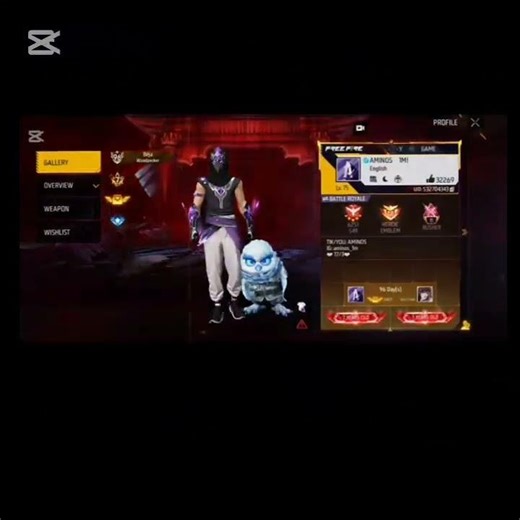 LIST ANY TOP 5 BEST FF PLAYERS THAT YOU KNOW