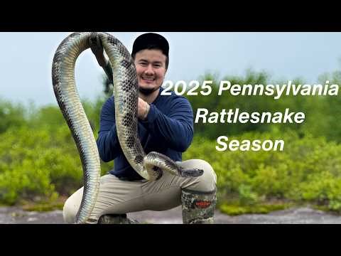 |Rattlesnake Hunting Pennsylvania | Public Land