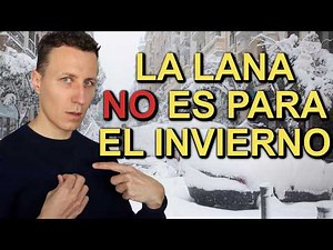 7 Cosas que No Sabías sobre la Lana Merino