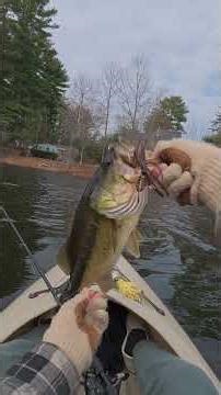 Early Spring Bass DESTROYED This Chatterbait - First 2lb Bass of the Season! #fishing #bassfishing