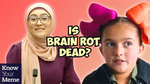 1.8K views | From Walmart Ads to Government speeches, has Brain Rot gotten out of hand? | Know Your Meme | Facebook