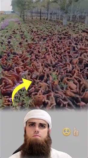 أجعل يالله بيننا وبين كل مخلوق لاهيئه له حجاب يحمينا🥺👍🏻#تصاميم#عبارات #حالات #متابعه#لايكي#اكسبلاور