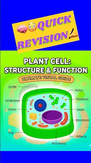 "Plant Cell Ka Magic 🌿 | Easy Explanation for Students”