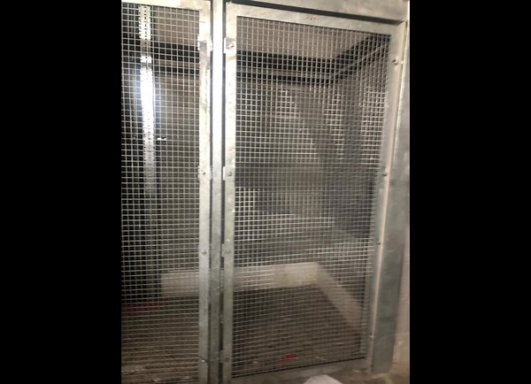 Petplay cage etiquette: safe consent and boundaries
