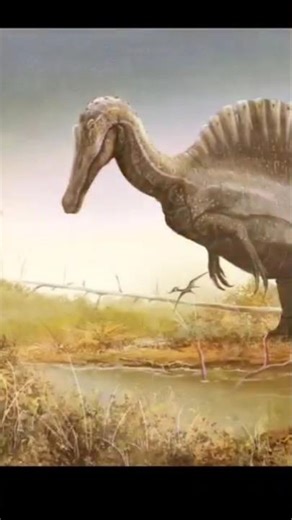 hello (random Prisma 3D animation) #prisma3d #meme #animation