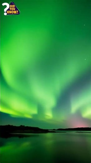 CERN Found an Impossible Order in Total Chaos