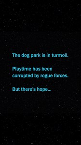 You are your dog’s only hope… for a FREE Star Wars™ upgrade! ✨ Join and get 2X the Star Wars toys and treats. | BarkBox | Facebook