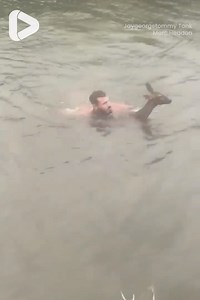 475K views · 7.2K reactions | This baby deer was seconds away from drowning...  | IGV | Facebook