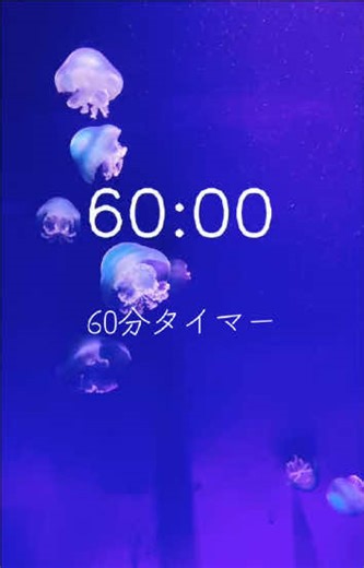 カウントダウンタイマー：60分と120分の設定