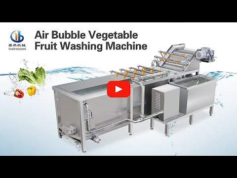 Air Bubble Vegetable Fruit Washing Machine for Factory