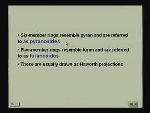 Lecture - 16 Carbohydrates I