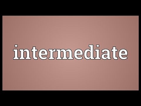 Intermediate Meaning