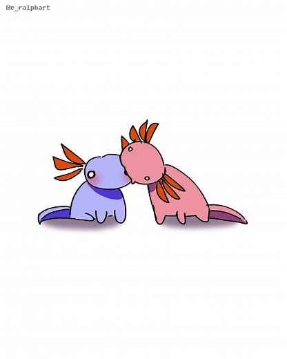 Axolotl Cat: Fun Animation Meme Experience