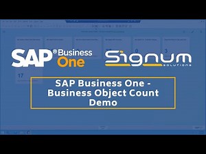 SAP Business One - Business Object Count Demo